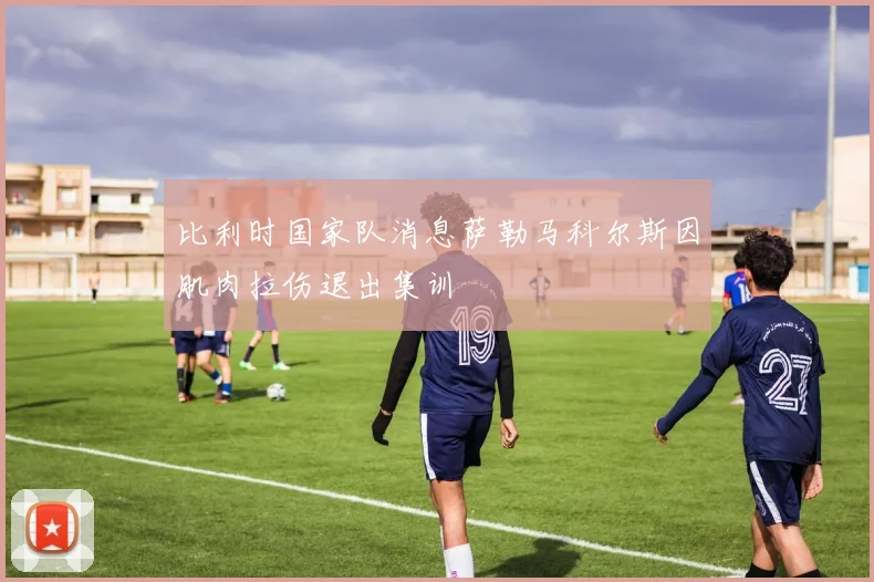 比利时国家队消息萨勒马科尔斯因肌肉拉伤退出集训